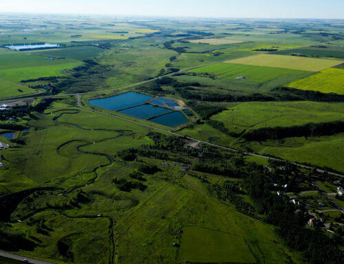 Film Location Didsbury – Wetlands and Area