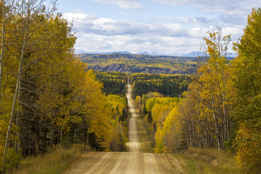 Rolling hills with beautiful fall trees near Sundre Alberta